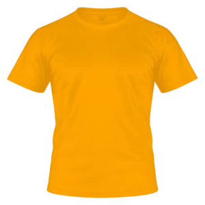 Oranžna